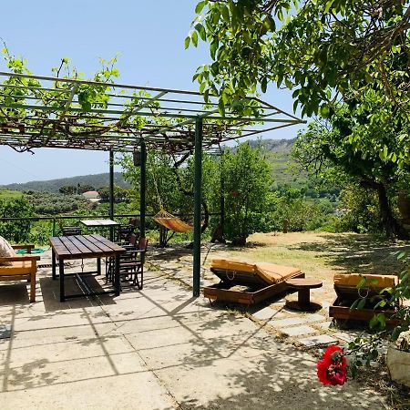 فيلا Temenia House المظهر الخارجي الصورة