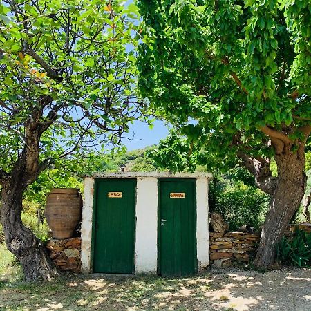 فيلا Temenia House المظهر الخارجي الصورة