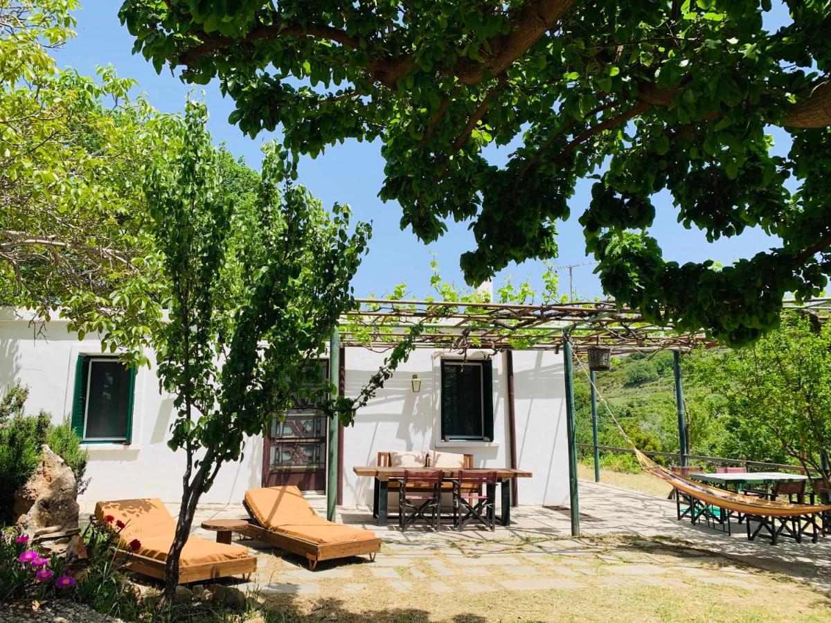 فيلا Temenia House المظهر الخارجي الصورة