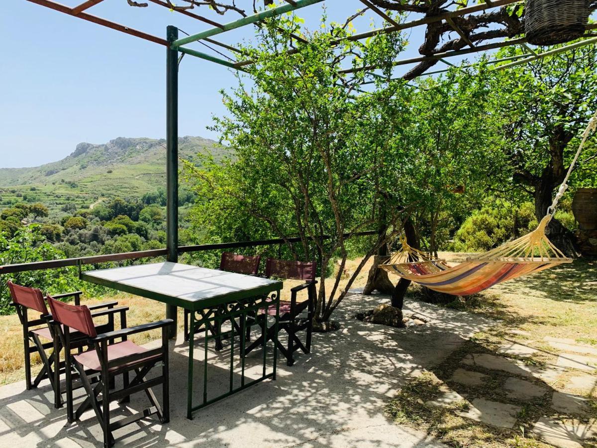 فيلا Temenia House المظهر الخارجي الصورة