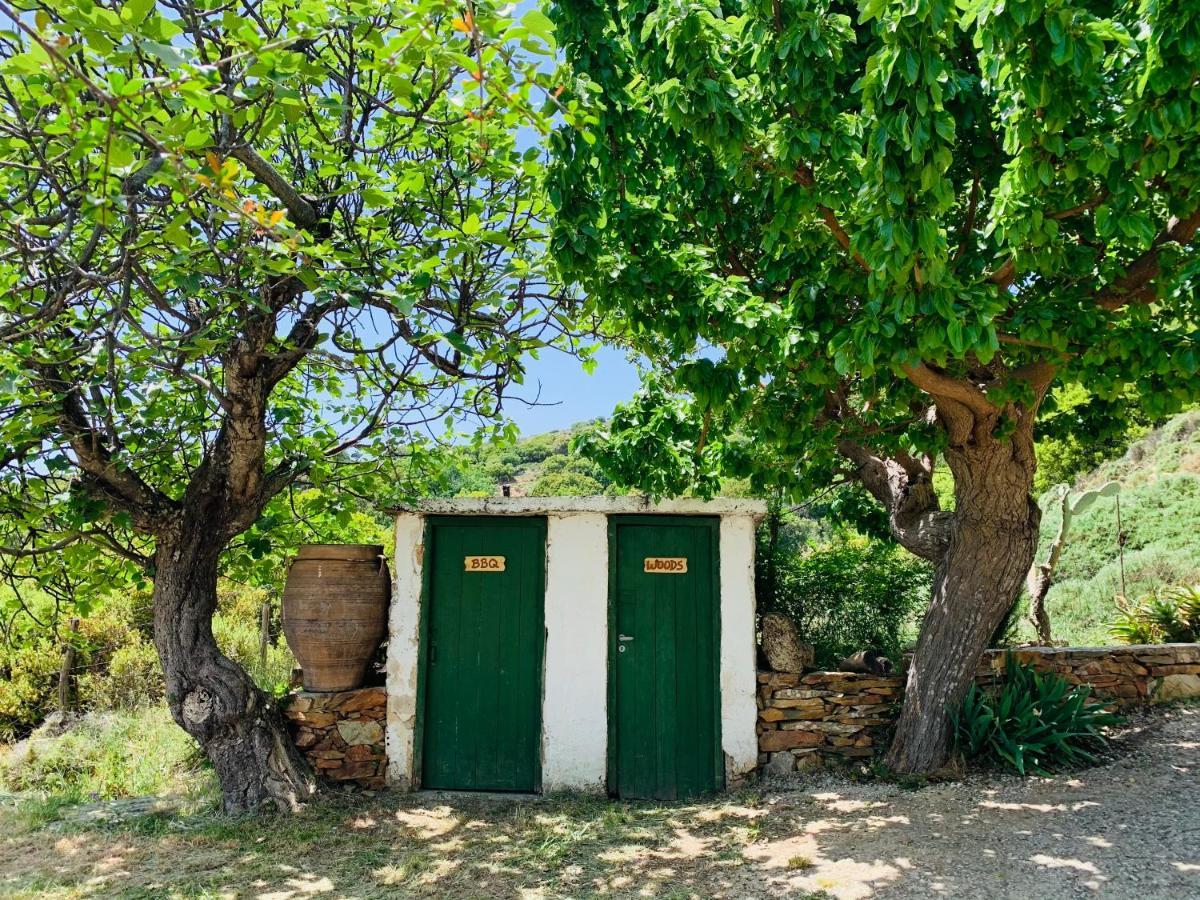 فيلا Temenia House المظهر الخارجي الصورة