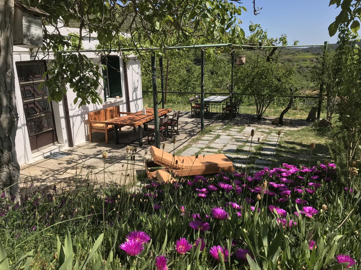 فيلا Temenia House المظهر الخارجي الصورة