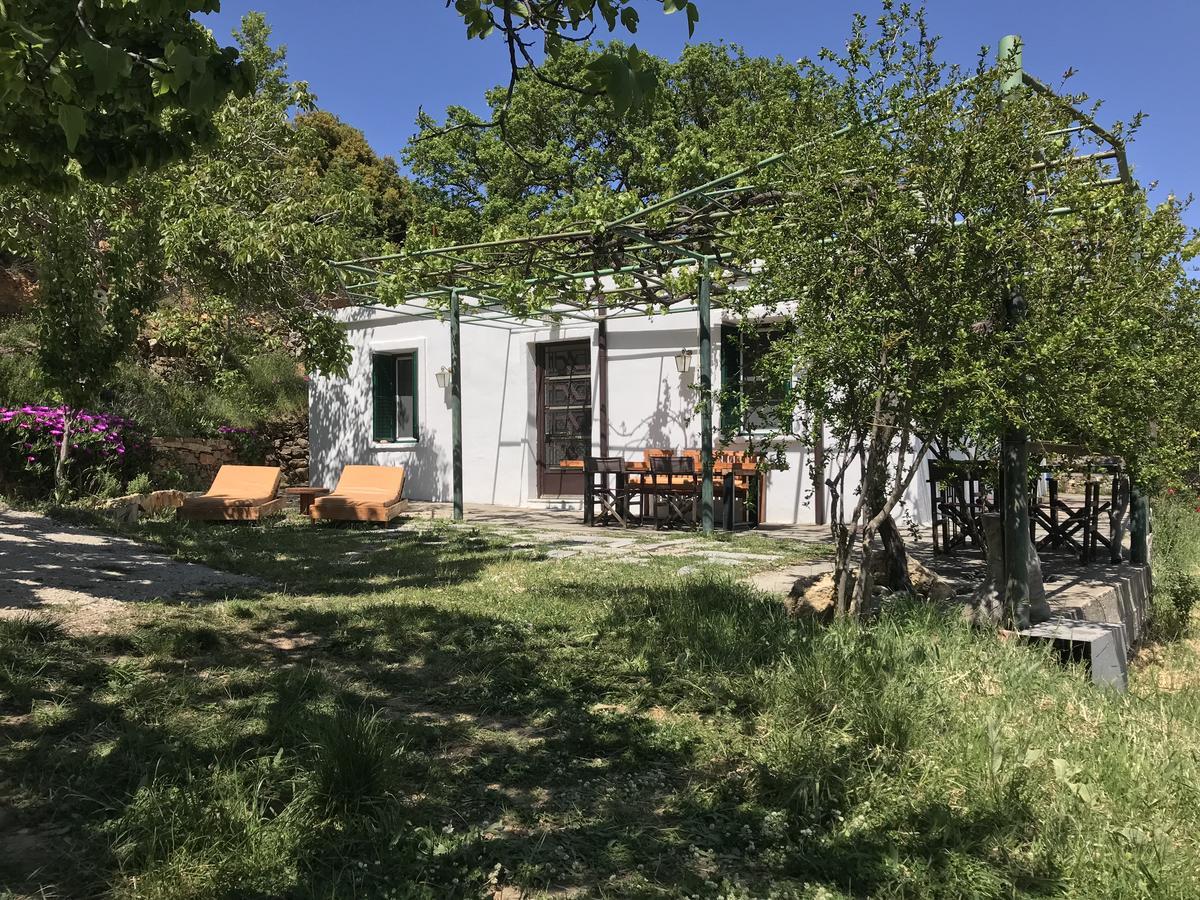 فيلا Temenia House المظهر الخارجي الصورة