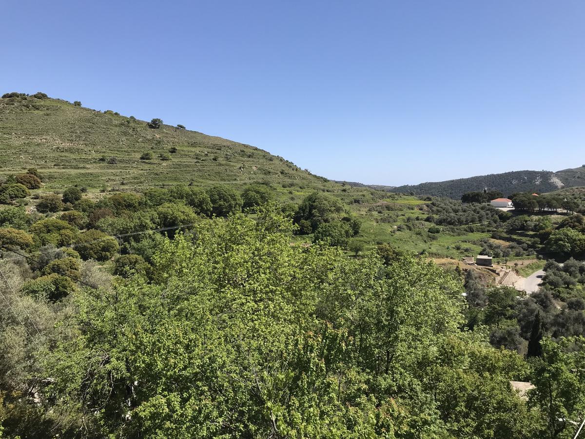 فيلا Temenia House المظهر الخارجي الصورة