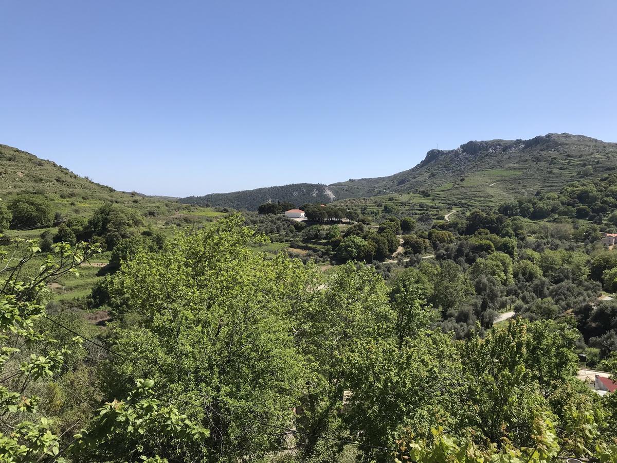 فيلا Temenia House المظهر الخارجي الصورة